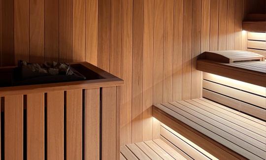 Sauna sucha, fińska